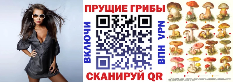 Купить закладки  Петров Вал  Галлюциногенные грибы MAGIC MUSHROOMS 